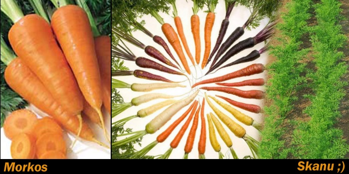 morkų sulčių nauda širdies sveikatai