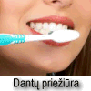 Viskas apie dantų priežiūrą